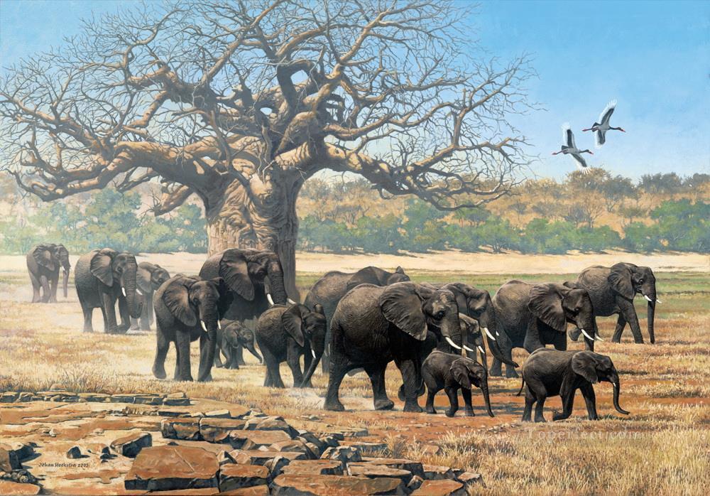 troupeau d’éléphants avec cigognes à bec de selle et baobab Peintures à l'huile